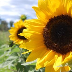 Meet your Posher, Beth